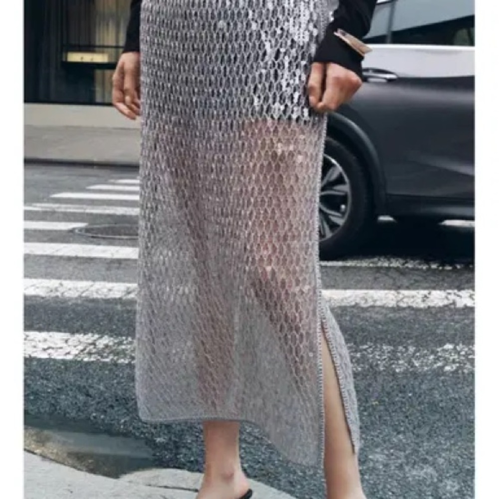Zara Mesh Skirt
